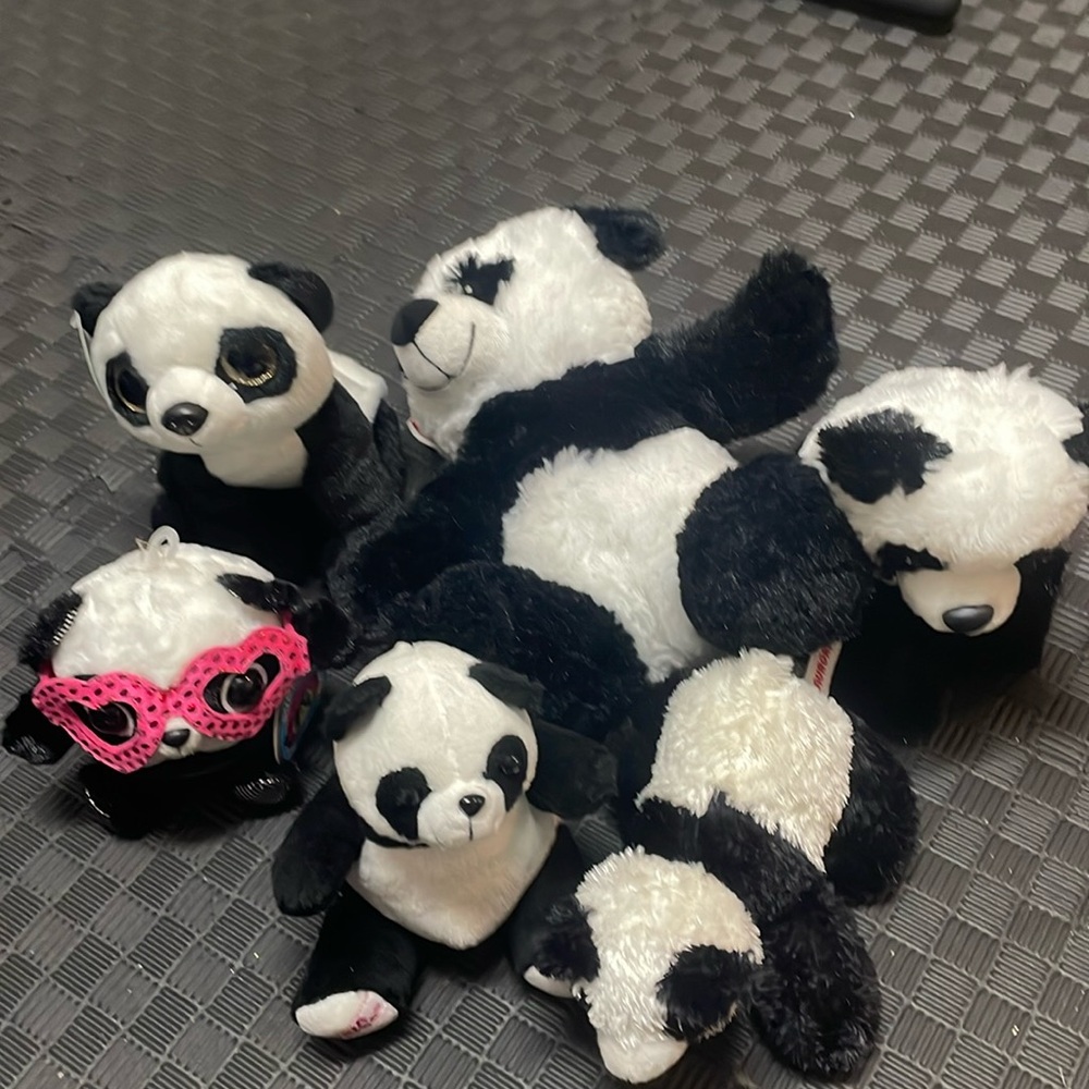 Panda bundle 6 stuffed pandas various sizes